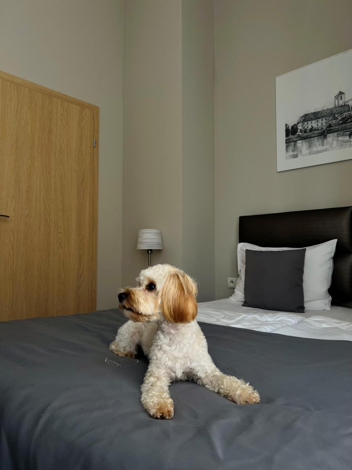 Joyinn Aparthotel 브로츠와프 외부 사진